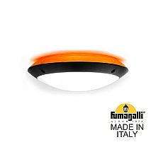 Уличный настенный светильник Fumagalli Lucia 1R3.000.000.AYE27OR1