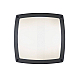 Уличный настенный светильник Ideal Lux Cometa PL3 Antracite 082240