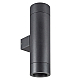 Уличный настенный светильник Arlight LGD-RAY-WALL-TWIN-R65-2x12W Warm3000 044231