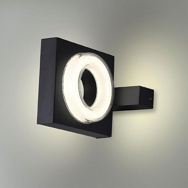 Уличный настенный светодиодный светильник Odeon Light Nature Vart 6654/5WL