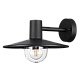 Уличный настенный светильник Odeon Light Nature Furcadia 4833/1W