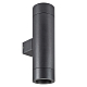 Уличный настенный светильник Arlight LGD-RAY-WALL-TWIN-R65-2x12W Day4000 044232