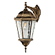 Уличный настенный светильник Arte Lamp Genova A1204AL-1BN