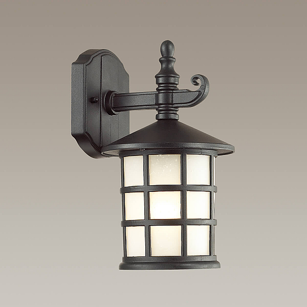 Уличный настенный светильник Odeon Light Nature House 4042/1W
