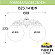 Уличный настенный светильник Fumagalli Globe 250 G25.141.000.WXF1RDN