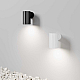 Бра Maytoni Outdoor O493WL-01W