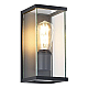 Уличный настенный светильник ST Luce Gross SL9019.701.01