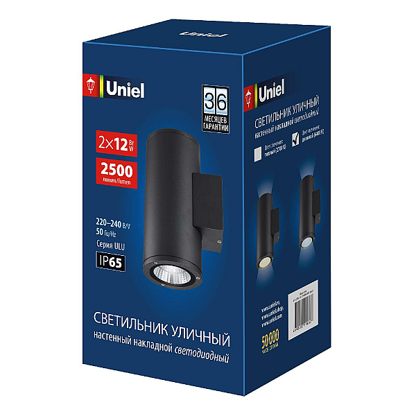 Уличный настенный светильник Uniel ULU-S22D-2x12W/6400K IP65 BLACK UL-00010848