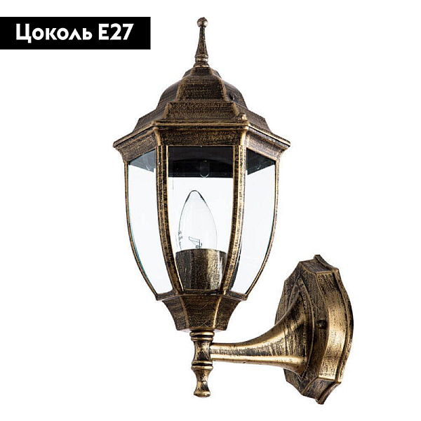 Уличный настенный светильник Arte Lamp Pegasus A3151AL-1BN