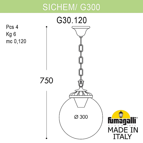 Подвесной уличный светильник Fumagalli Globe G30.120.000.BXF1R