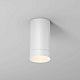 Потолочный светильник Maytoni Outdoor O500CL-L5W3K