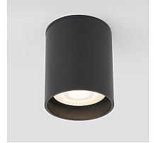 Уличный потолочный светильник Elektrostandard Light LED 4690389176968