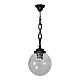 Уличный подвесной светильник Fumagalli Sichem/G250 G25.120.000.AXE27