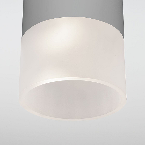 Уличный потолочный светильник Elektrostandard Light LED 4690389177934