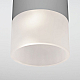 Уличный потолочный светильник Elektrostandard Light LED 4690389177934