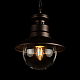 Уличный подвесной светильник Loft IT Piemonte 100022P