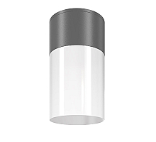 Уличный потолочный светильник Maytoni Willis O418CL-01GR