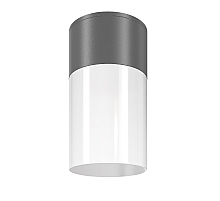 Уличный потолочный светильник Maytoni Willis O418CL-01GR