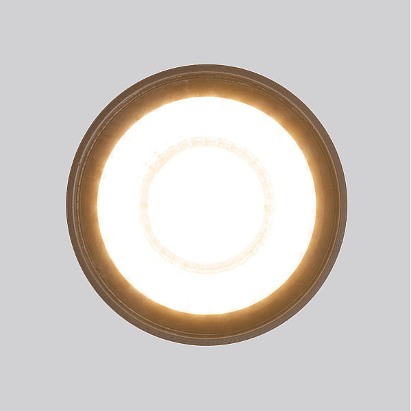 Уличный потолочный светильник Elektrostandard Light LED 4690389176975