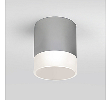 Уличный потолочный светильник Elektrostandard Light LED 4690389177965
