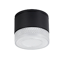 Уличный потолочный светильник Arte Lamp Piautos A1926PF-1BK