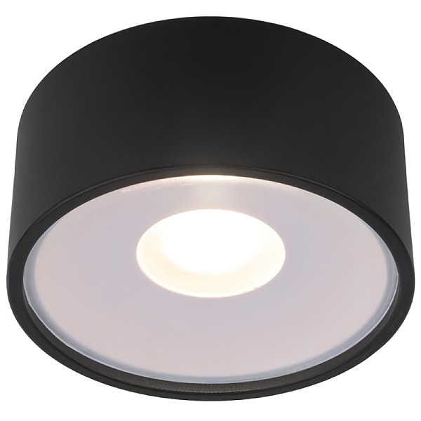 Уличный потолочный светильник Elektrostandard Light LED 35141/H черный 4690389180156 a057470