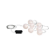 Уличный подвесной светодиодный светильник Paulmann Lampion Chain 94166