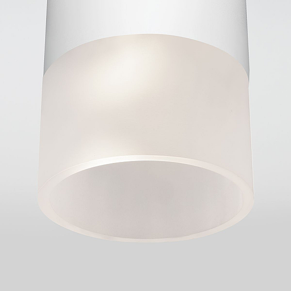 Уличный потолочный светильник Elektrostandard Light LED 4690389177927
