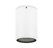 Уличный потолочный светильник Arlight LGD-Forma-Surface-R90-12W Warm3000 037261