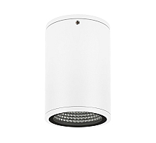 Уличный потолочный светильник Arlight LGD-Forma-Surface-R90-12W Warm3000 037261
