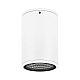 Уличный потолочный светильник Arlight LGD-Forma-Surface-R90-12W Warm3000 037261