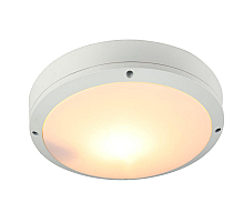 Уличный светильник Arte Lamp City A8154PF-2WH