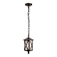 Уличный подвесной светильник Loft IT Ravenna 100016P