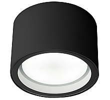Уличный потолочный светильник Elektrostandard Light 4690389180835