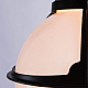 Уличный подвесной светильник Arte Lamp Monaco A1495SO-1BK