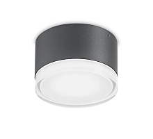 Уличный светильник Ideal Lux Urano PL1 Small Antracite 168111