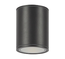 Уличный потолочный светильник Maytoni Bar O306CL-L12GF
