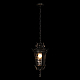 Уличный подвесной светильник Loft IT Verona 100003P