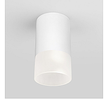 Уличный потолочный светильник Elektrostandard Light LED 4690389177927