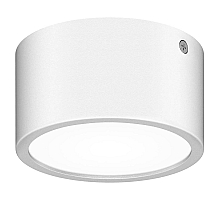 Уличный светодиодный светильник Lightstar Zolla 380164