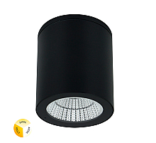 Уличный потолочный светильник Arte Lamp Torcular A1313PF-1BK