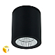 Уличный потолочный светильник Arte Lamp Torcular A1313PF-1BK