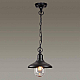 Уличный подвесной светильник Odeon Light Nature Campa 4965/1