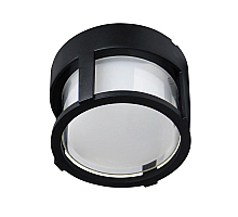 Уличный потолочный светильник Arte Lamp Ulysses A6206PF-1BK