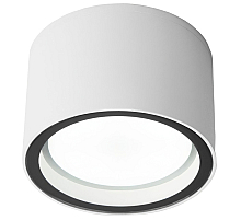 Уличный потолочный светильник Elektrostandard Light 4690389180828