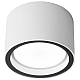 Уличный потолочный светильник Elektrostandard Light 4690389180828