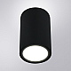 Уличный потолочный светильник Arte Lamp Torcular A1307PF-1BK