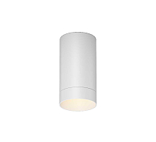 Уличный потолочный светильник Maytoni Luxe O500CL-L5W3K