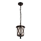 Уличный подвесной светильник Loft IT Ravenna 100016P