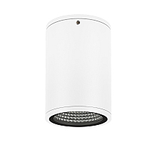 Уличный потолочный светильник Arlight LGD-Forma-Surface-R90-12W Day4000 037259